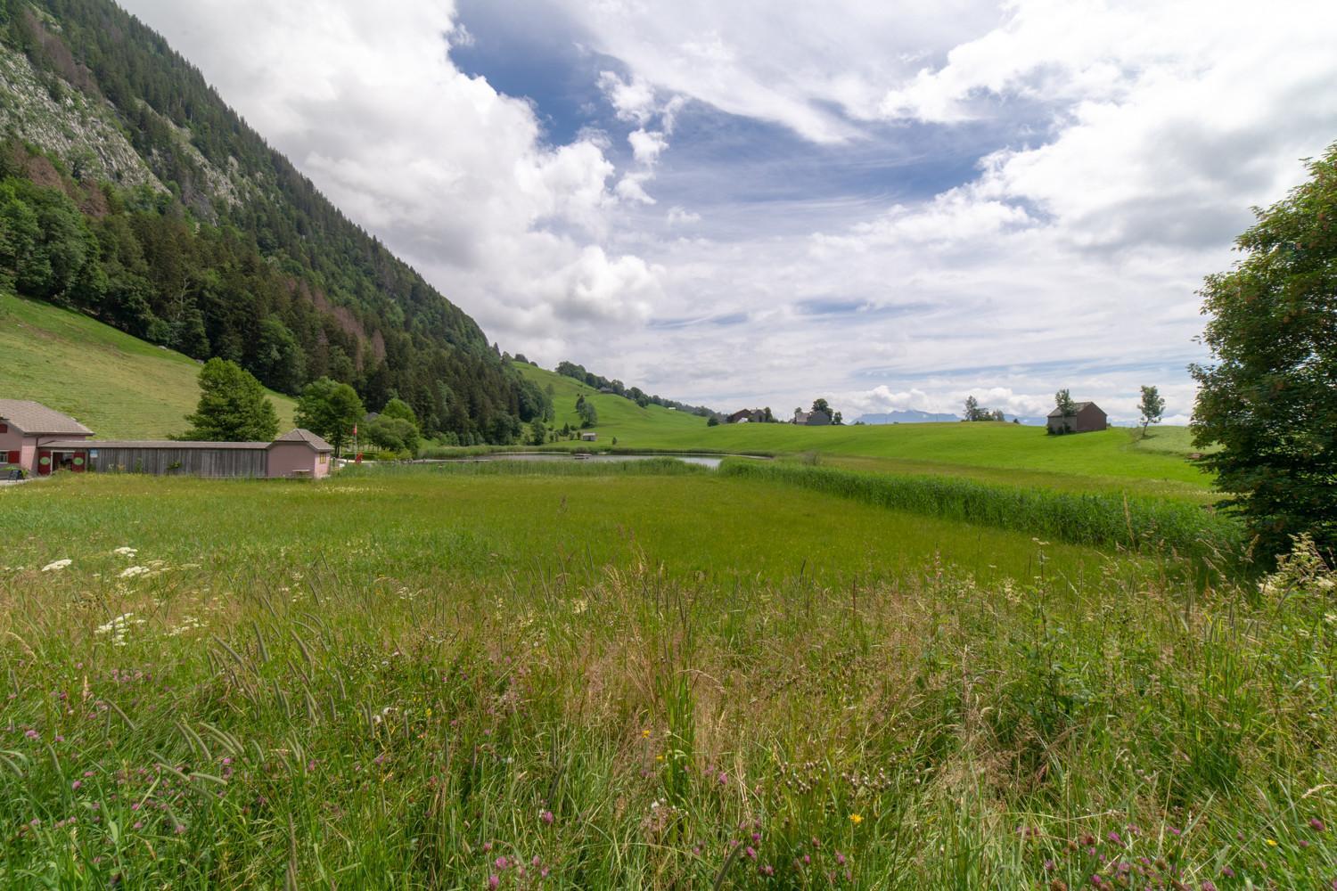 Wiesel Wildhaus Esterno foto