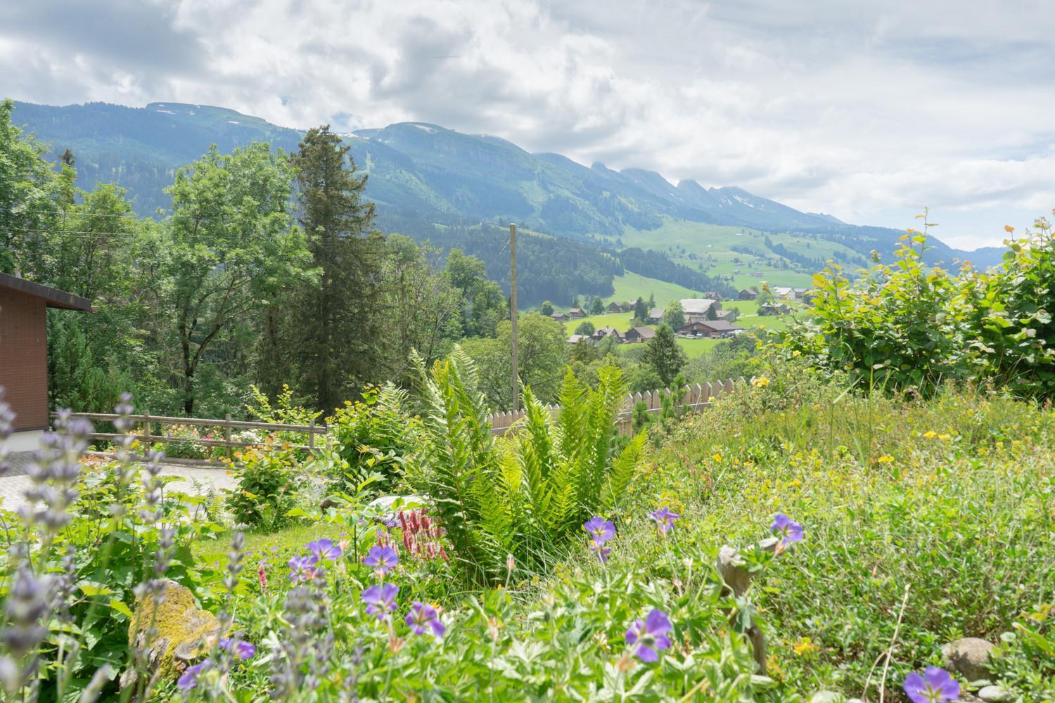 Wiesel Wildhaus Esterno foto